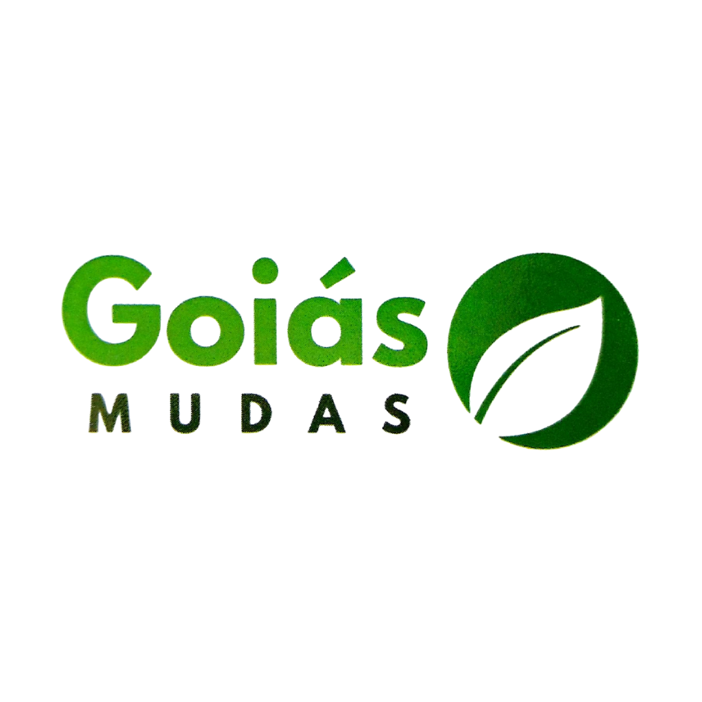 Muda Mudas