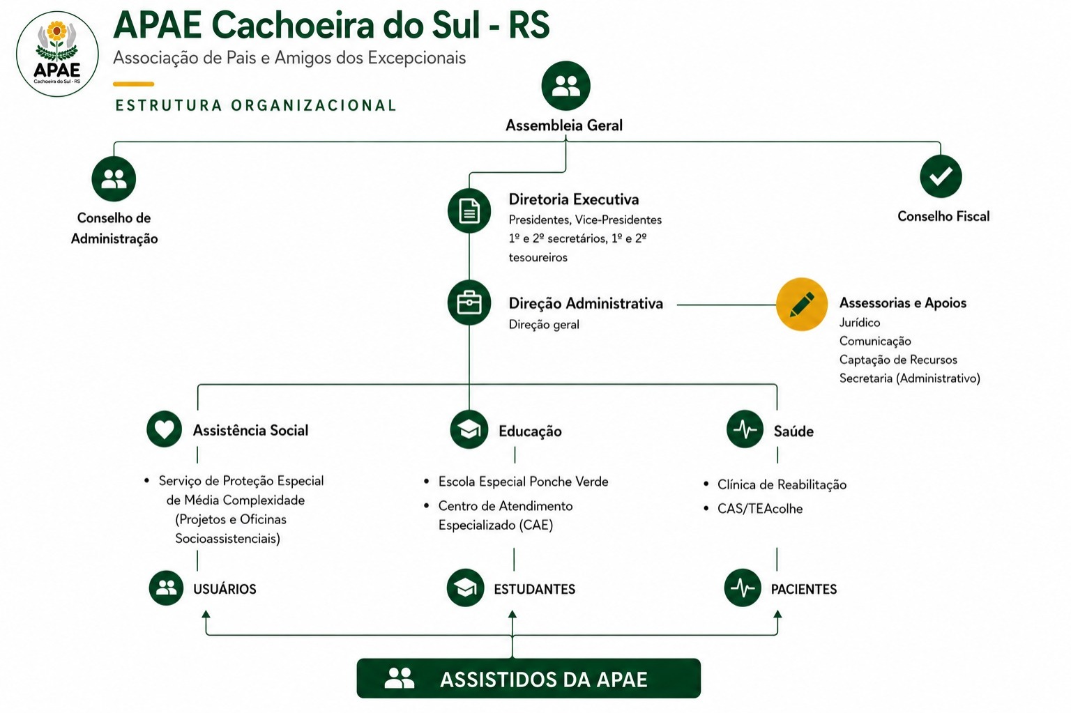 Organograma APAE Cachoeira do Sul