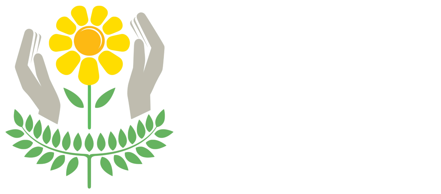 APAE Cachoeira do Sul - RS